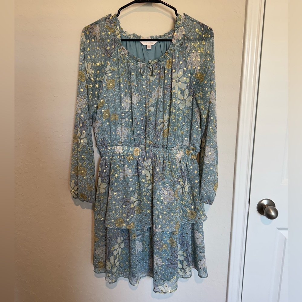 Long Sleeve Dress